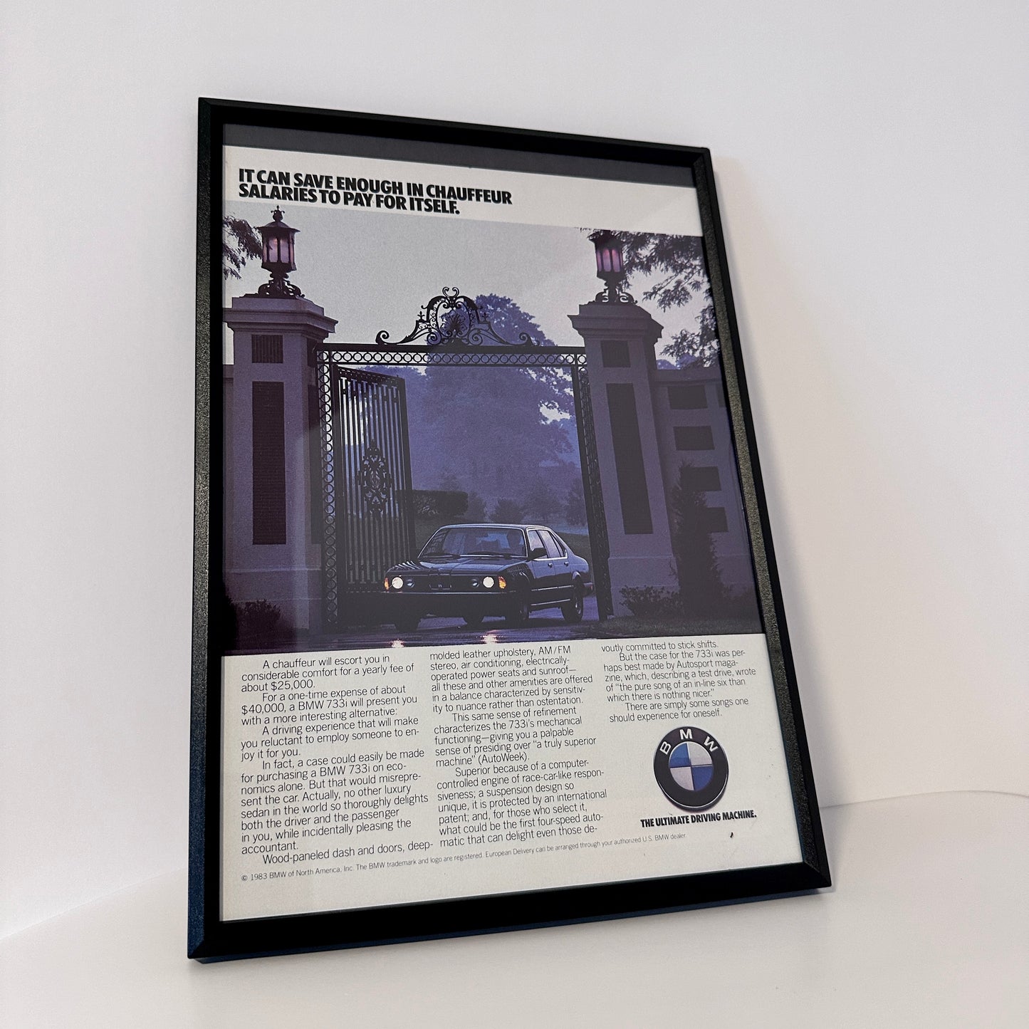 Bmw it can save enough framed ad