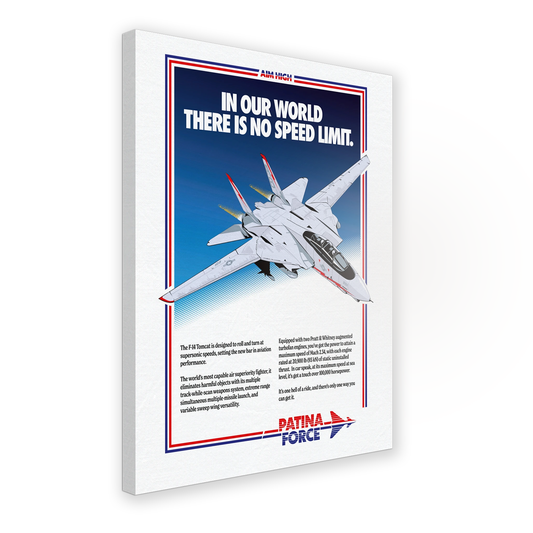F14 TOMCAT AIM HIGH CANVAS